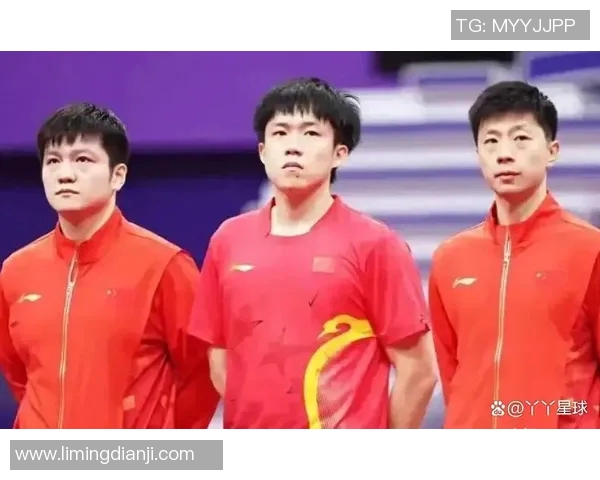 实时新闻南京乒乓球队配合表现的数据分析与战术优化研究